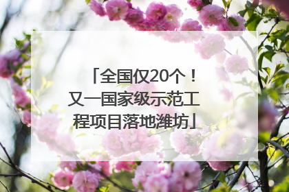 全国仅20个！又一国家级示范工程项目落地潍坊