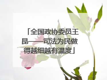 全国政协委员王昆——司法为民做得越细越有温度