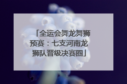 全运会舞龙舞狮预赛：七支河南龙狮队晋级决赛圈