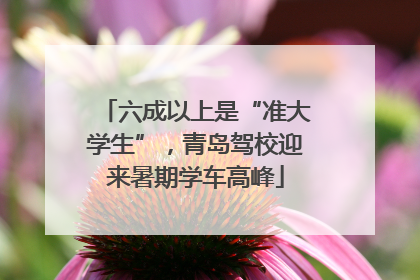 六成以上是“准大学生”，青岛驾校迎来暑期学车高峰