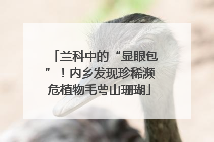 兰科中的“显眼包”！内乡发现珍稀濒危植物毛萼山珊瑚