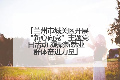 兰州市城关区开展“新心向党”主题党日活动 凝聚新就业群体奋进力量