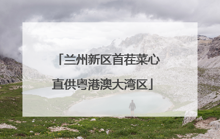 兰州新区首茬菜心直供粤港澳大湾区
