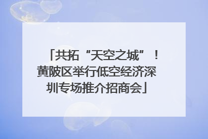 共拓“天空之城”！黄陂区举行低空经济深圳专场推介招商会