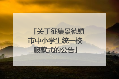 关于征集景德镇市中小学生统一校服款式的公告