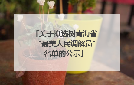 关于拟选树青海省“最美人民调解员” 名单的公示