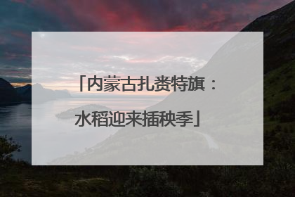 内蒙古扎赉特旗：水稻迎来插秧季
