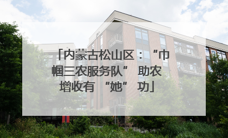 内蒙古松山区：“巾帼三农服务队” 助农增收有 “她” 功
