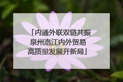 内通外联双链共振 泉州洛江内外贸易高质量发展开新局