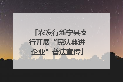 农发行新宁县支行开展“民法典进企业”普法宣传