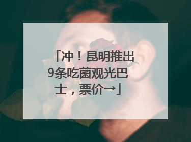 冲！昆明推出9条吃菌观光巴士，票价→