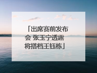 出席赛前发布会 张玉宁透露将搭档王钰栋
