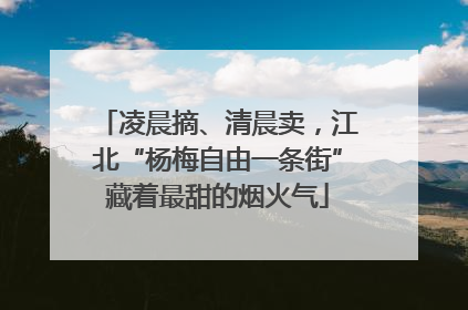 凌晨摘、清晨卖，江北“杨梅自由一条街”藏着最甜的烟火气