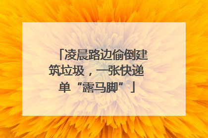 凌晨路边偷倒建筑垃圾，一张快递单“露马脚”