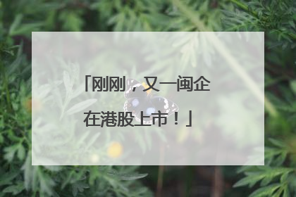刚刚，又一闽企在港股上市！