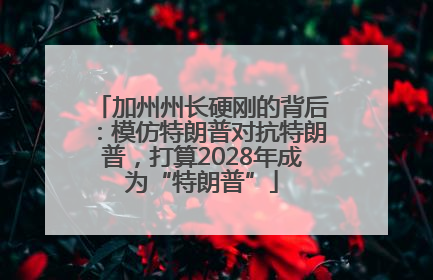 加州州长硬刚的背后：模仿特朗普对抗特朗普，打算2028年成为“特朗普”