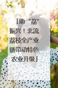 助“荔”振兴！北流荔枝全产业链带动特色农业升级