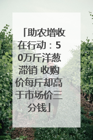 助农增收在行动：50万斤洋葱滞销 收购价每斤却高于市场价三分钱