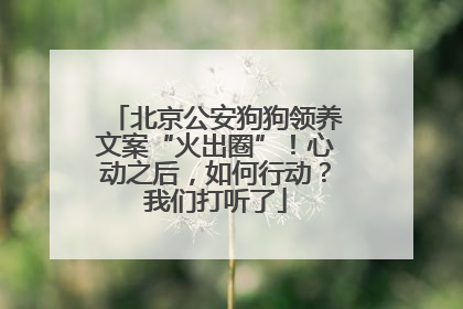 北京公安狗狗领养文案“火出圈”！心动之后，如何行动？我们打听了
