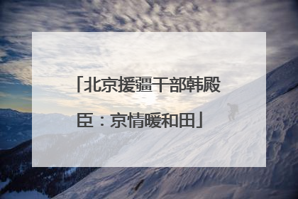 北京援疆干部韩殿臣：京情暖和田