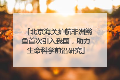 北京海关护航非洲鳉鱼首次引入我国，助力生命科学前沿研究