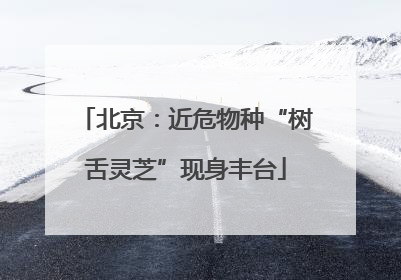 北京：近危物种“树舌灵芝”现身丰台