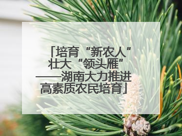 培育“新农人” 壮大“领头雁”——湖南大力推进高素质农民培育