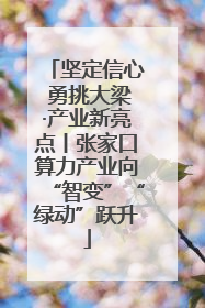 坚定信心 勇挑大梁·产业新亮点丨张家口算力产业向“智变”“绿动”跃升