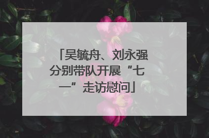 吴毓舟、刘永强分别带队开展“七一”走访慰问