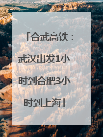 合武高铁：武汉出发1小时到合肥3小时到上海
