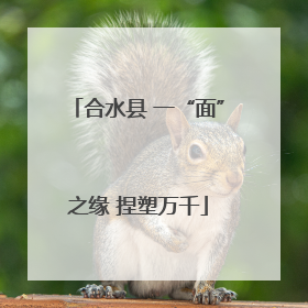 合水县 一“面”之缘 捏塑万千