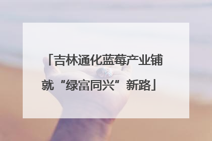 吉林通化蓝莓产业铺就“绿富同兴”新路