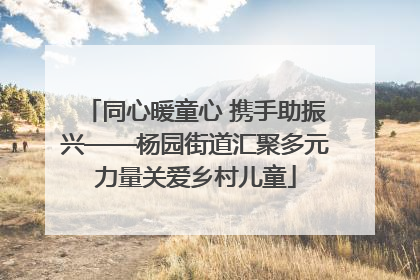 同心暖童心 携手助振兴——杨园街道汇聚多元力量关爱乡村儿童