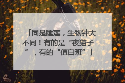 同是睡莲，生物钟大不同！有的是“夜猫子”，有的“值白班”