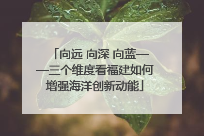 向远 向深 向蓝——三个维度看福建如何增强海洋创新动能