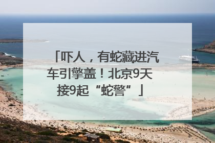 吓人，有蛇藏进汽车引擎盖！北京9天接9起“蛇警”