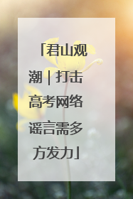 君山观潮｜打击高考网络谣言需多方发力