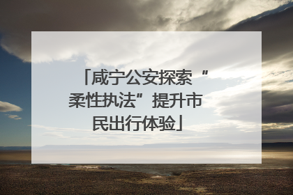 咸宁公安探索“柔性执法”提升市民出行体验
