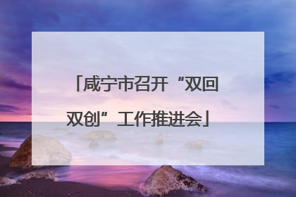 咸宁市召开“双回双创”工作推进会