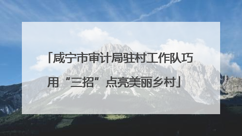 咸宁市审计局驻村工作队巧用“三招”点亮美丽乡村