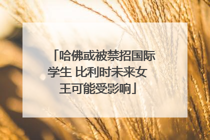 哈佛或被禁招国际学生 比利时未来女王可能受影响
