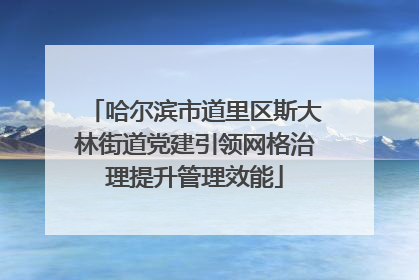 哈尔滨市道里区斯大林街道党建引领网格治理提升管理效能
