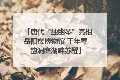 唐代“独幽琴”亮相岳阳楼博物馆 千年琴韵洞庭湖畔苏醒