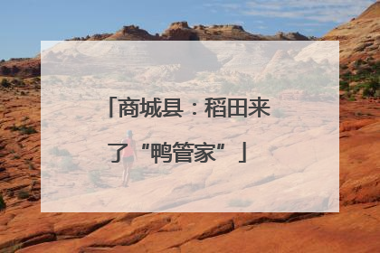 商城县：稻田来了“鸭管家”