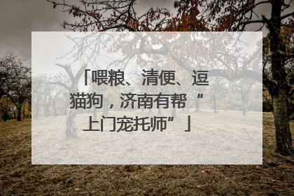 喂粮、清便、逗猫狗，济南有帮“上门宠托师”