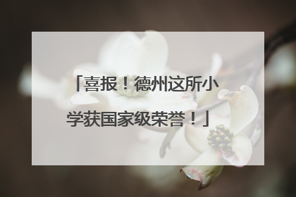 喜报！德州这所小学获国家级荣誉！
