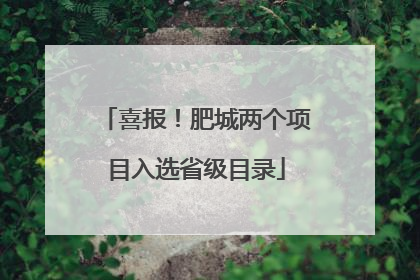 喜报！肥城两个项目入选省级目录