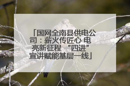 国网全南县供电公司：薪火传匠心 电亮新征程 “四进”宣讲赋能基层一线
