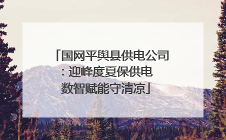 国网平舆县供电公司：迎峰度夏保供电  数智赋能守清凉