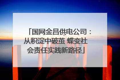 国网金昌供电公司：从积淀中破茧 蝶变社会责任实践新路径
